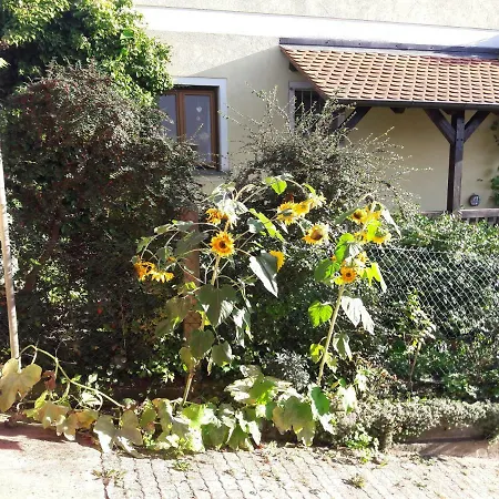 Ferienwohnung Lerchennest Georgensgmund Exterior photo