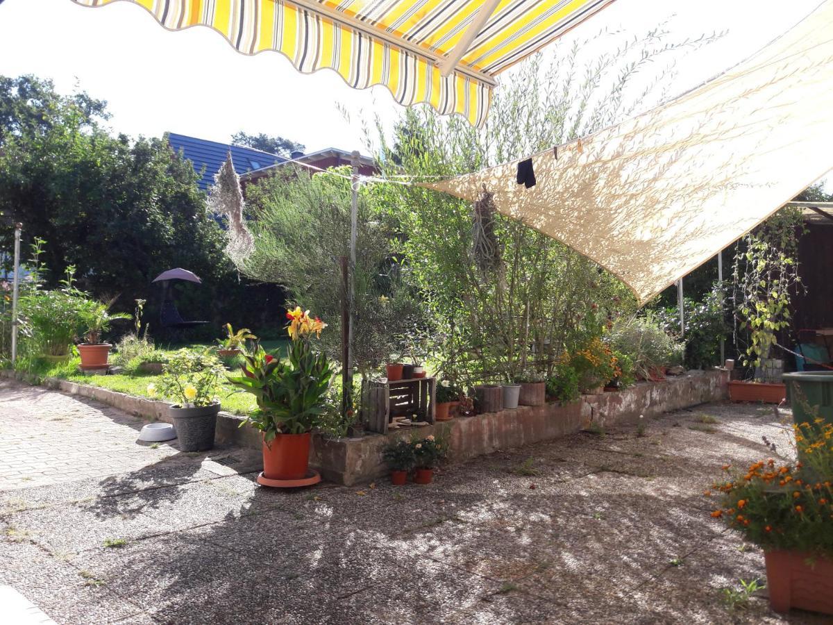 Apartment Lerchennest