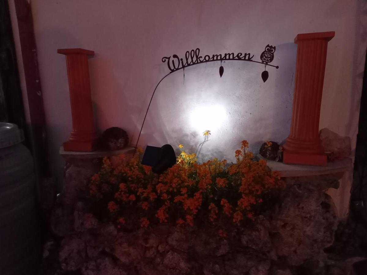 Lerchennest Georgensgmund