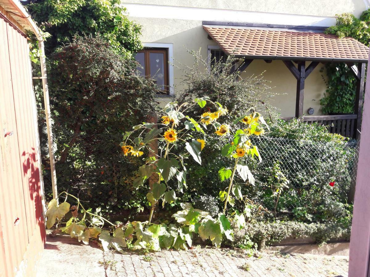 Lerchennest Apartment *