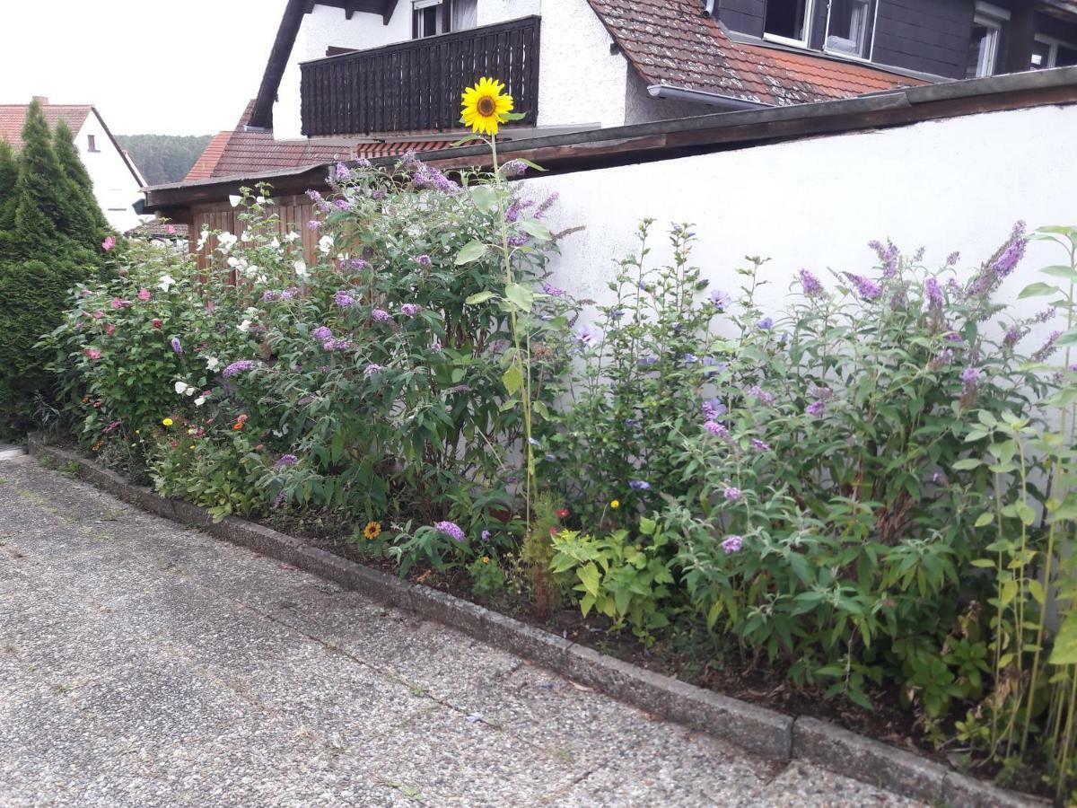 Lerchennest Georgensgmund